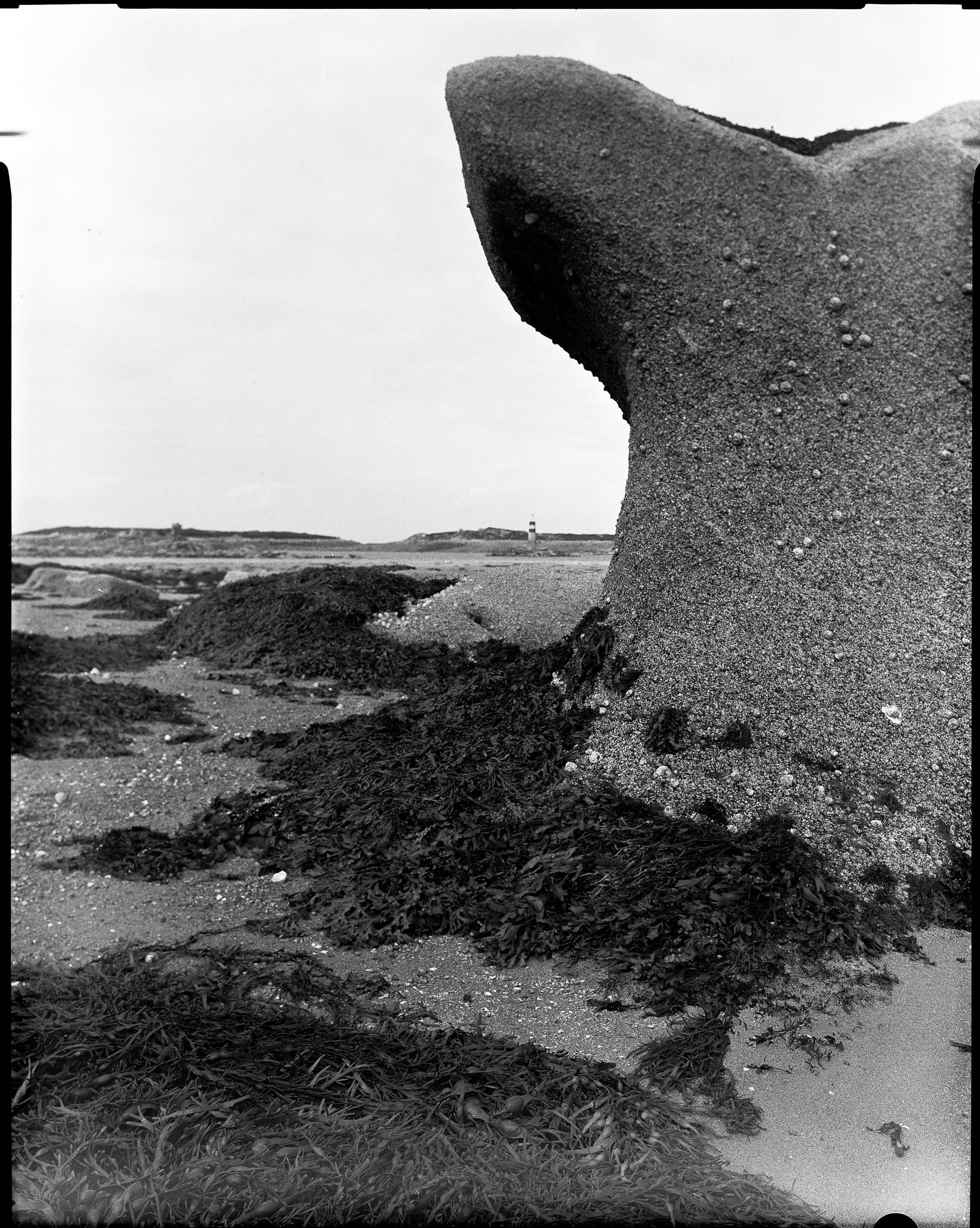 Imported from 20230828-7-panorama.jpg